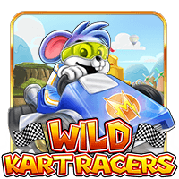 Wild Kart Racers